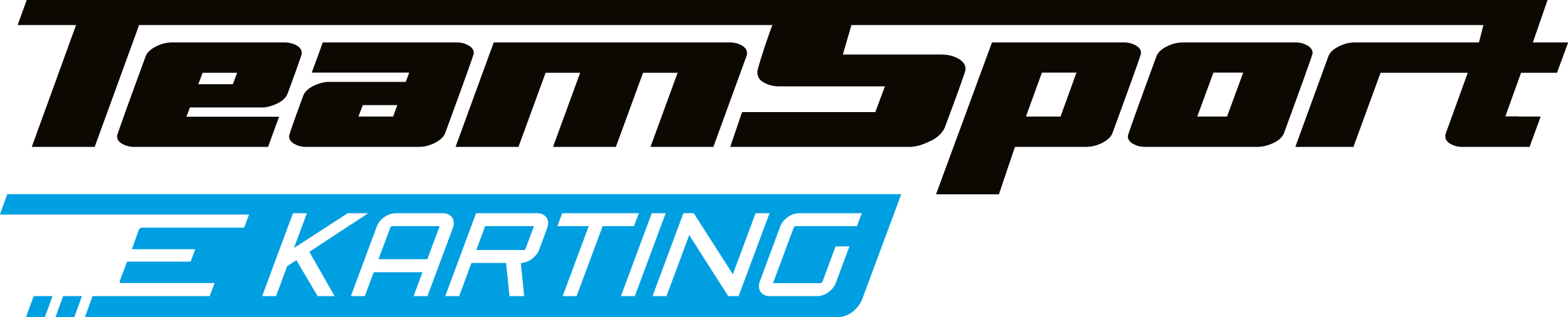 Teamsport e-karting logo - Wobbes Content Marketing