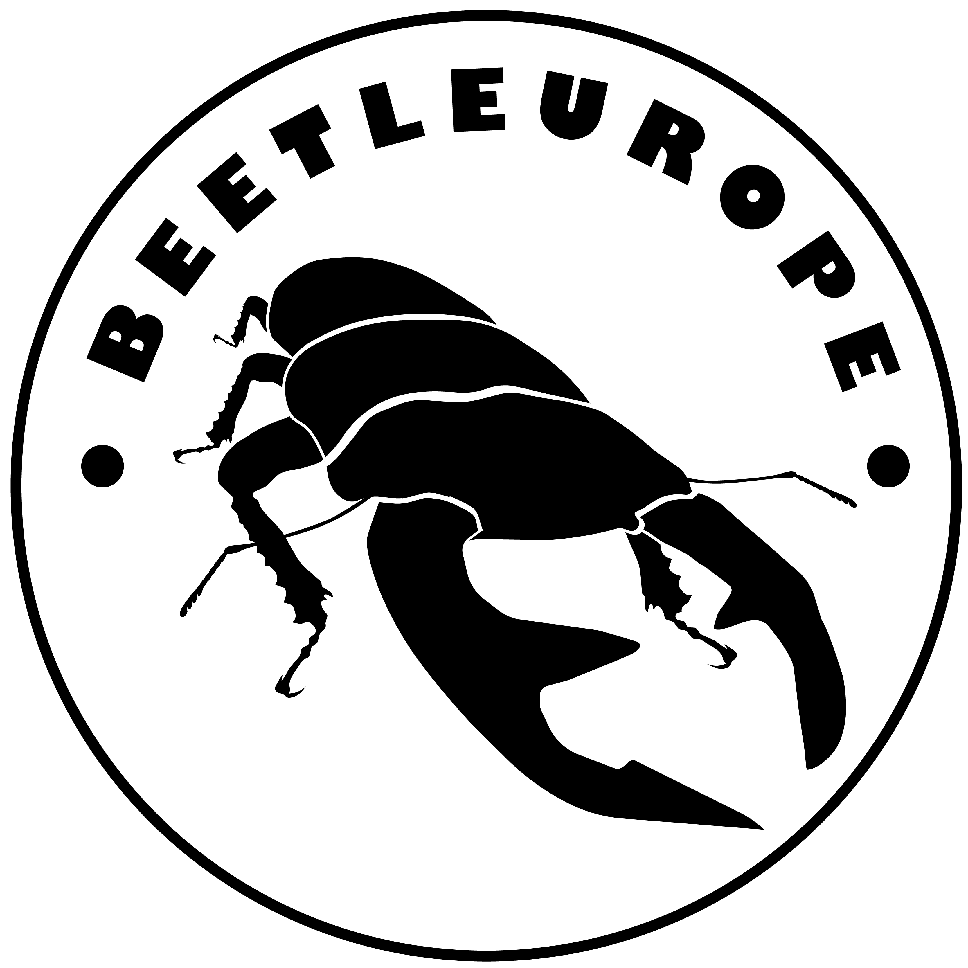 Beetleurope - Wobbes Content Marketing